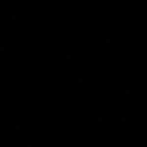 Meet your Posher, Lea